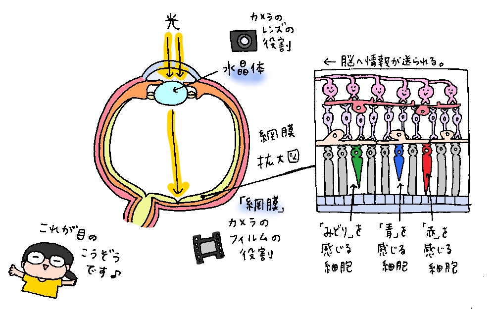 f:id:aitsu-factory:20180622104733j:plain