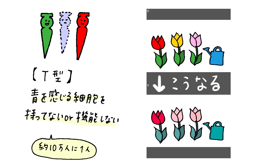 f:id:aitsu-factory:20180622105001j:plain