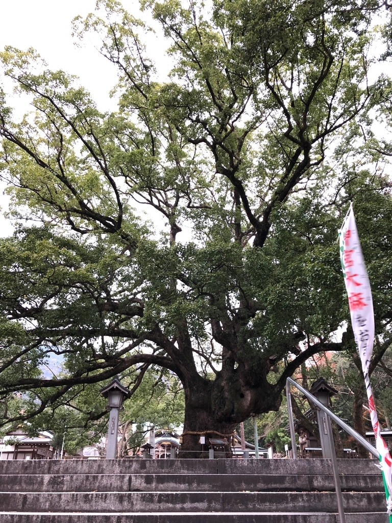 f:id:aitsu-factory:20190106135053j:plain