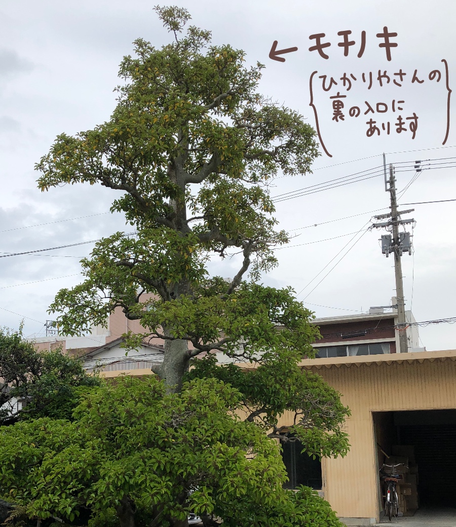 f:id:aitsu-factory:20190627004008j:plain