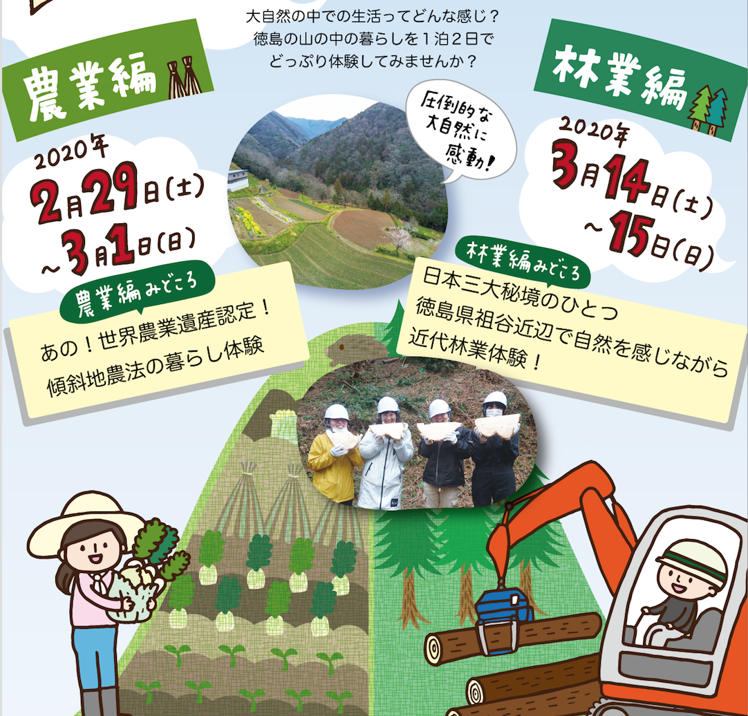 f:id:aitsu-factory:20200205143223p:plain