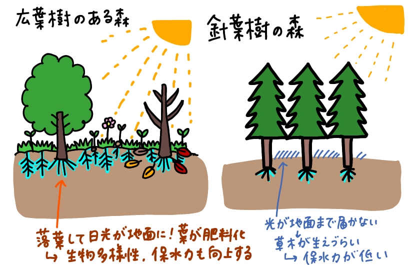 f:id:aitsu-factory:20200216155126j:plain