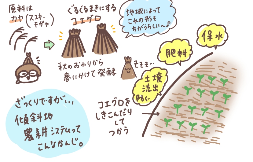 f:id:aitsu-factory:20200405160552j:plain