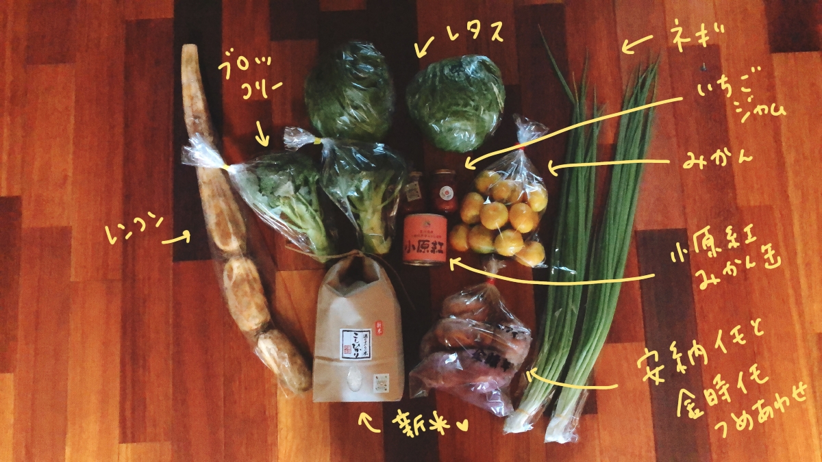 f:id:aitsu-factory:20201021225600j:plain