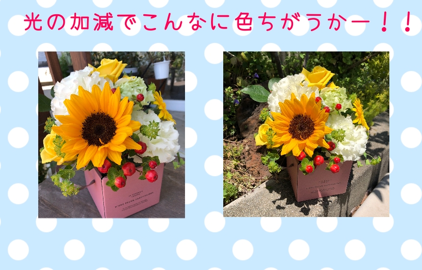 f:id:aitsu-factory:20210523171730j:plain