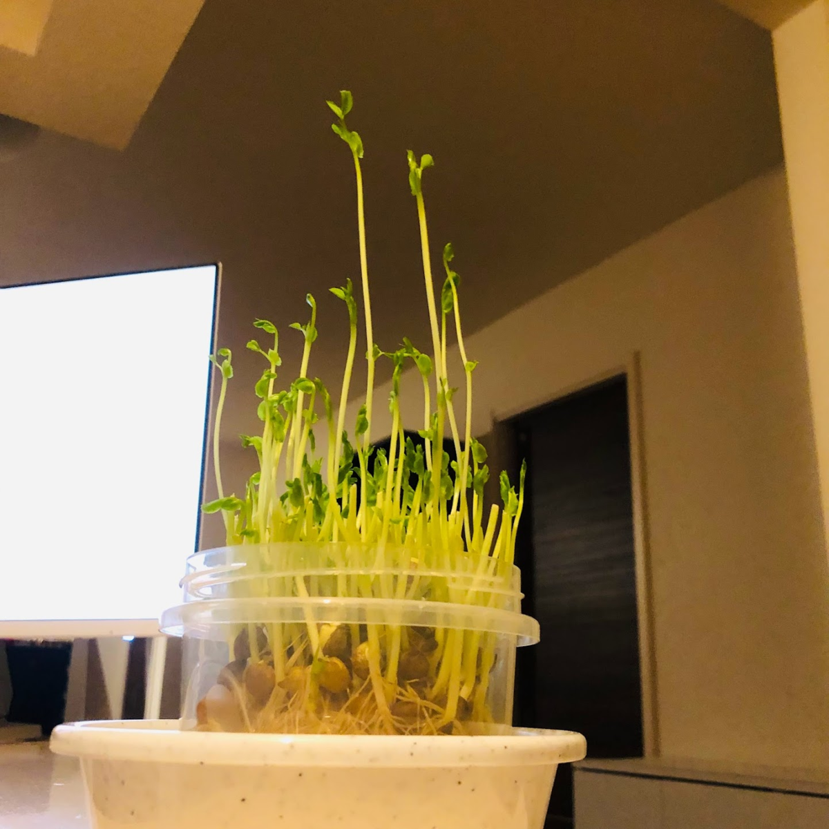 タイムリープとは 読書の人気 最新記事を集めました はてな タイムリープとは 読書の人気 最新記事を集めました はてな