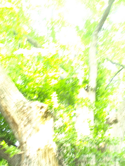 f:id:aiueobake:20100803070753j:image