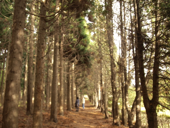 f:id:aiueobake:20111024134005j:image