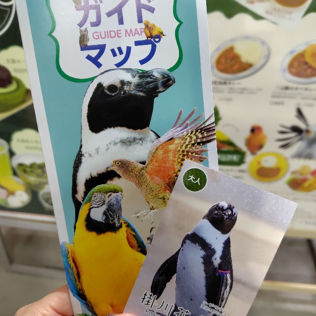 掛川花鳥園 - すてきな翼ブログ