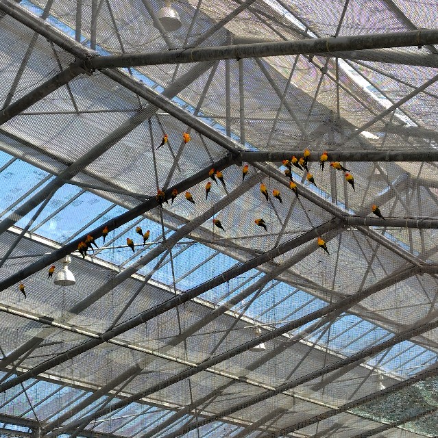 f:id:aiuroco:20250805204851j:image