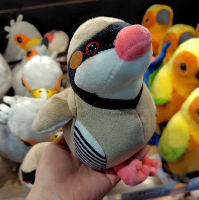 f:id:aiuroco:20250805205210j:image