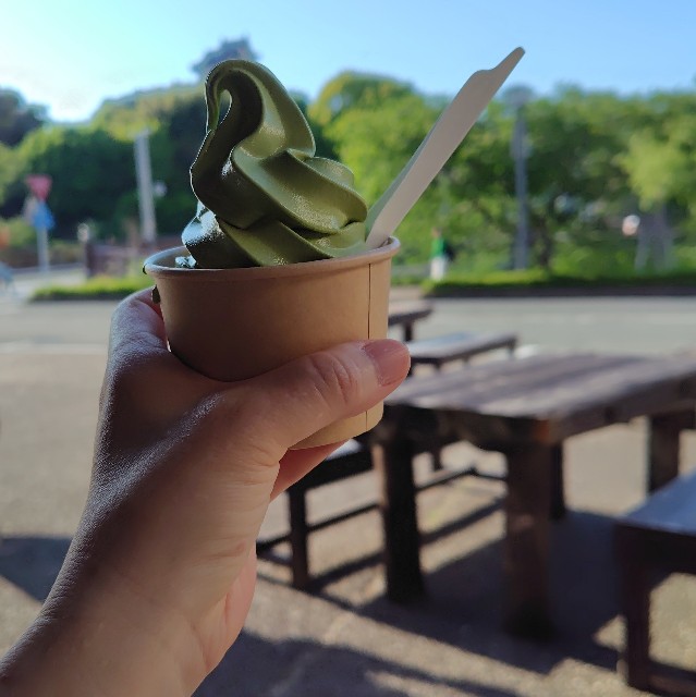 f:id:aiuroco:20250805205441j:image