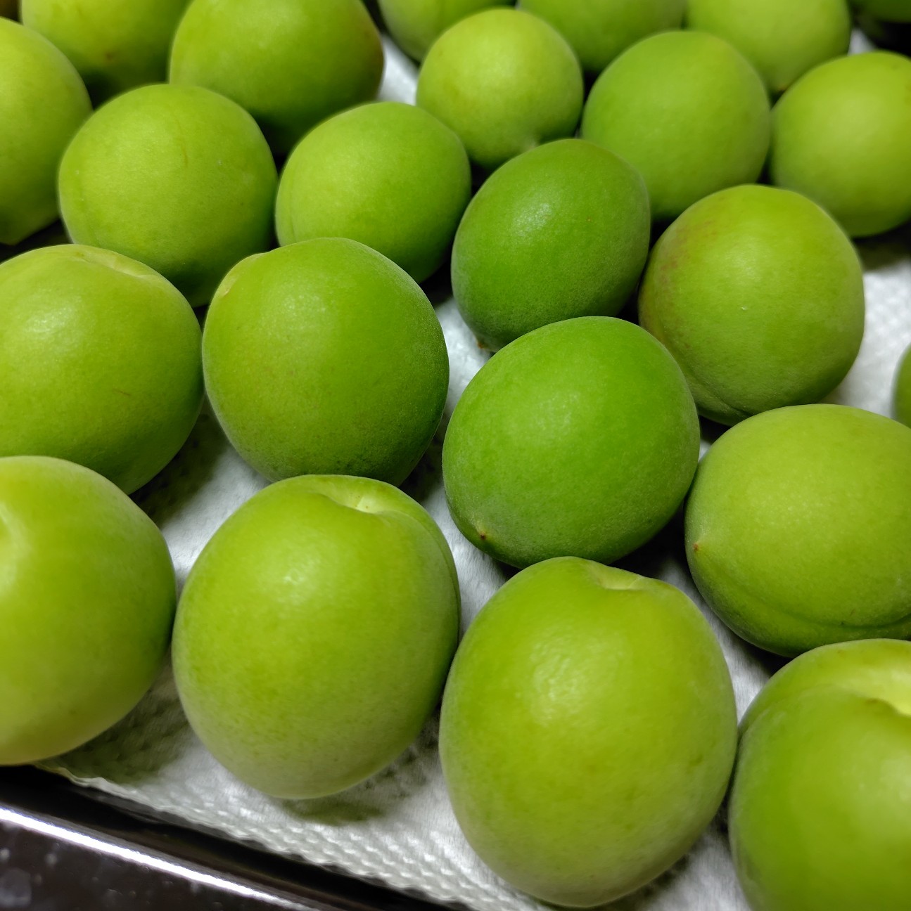 f:id:aiuroco:20251130224348j:image f:id:aiuroco:20251130224348j:image