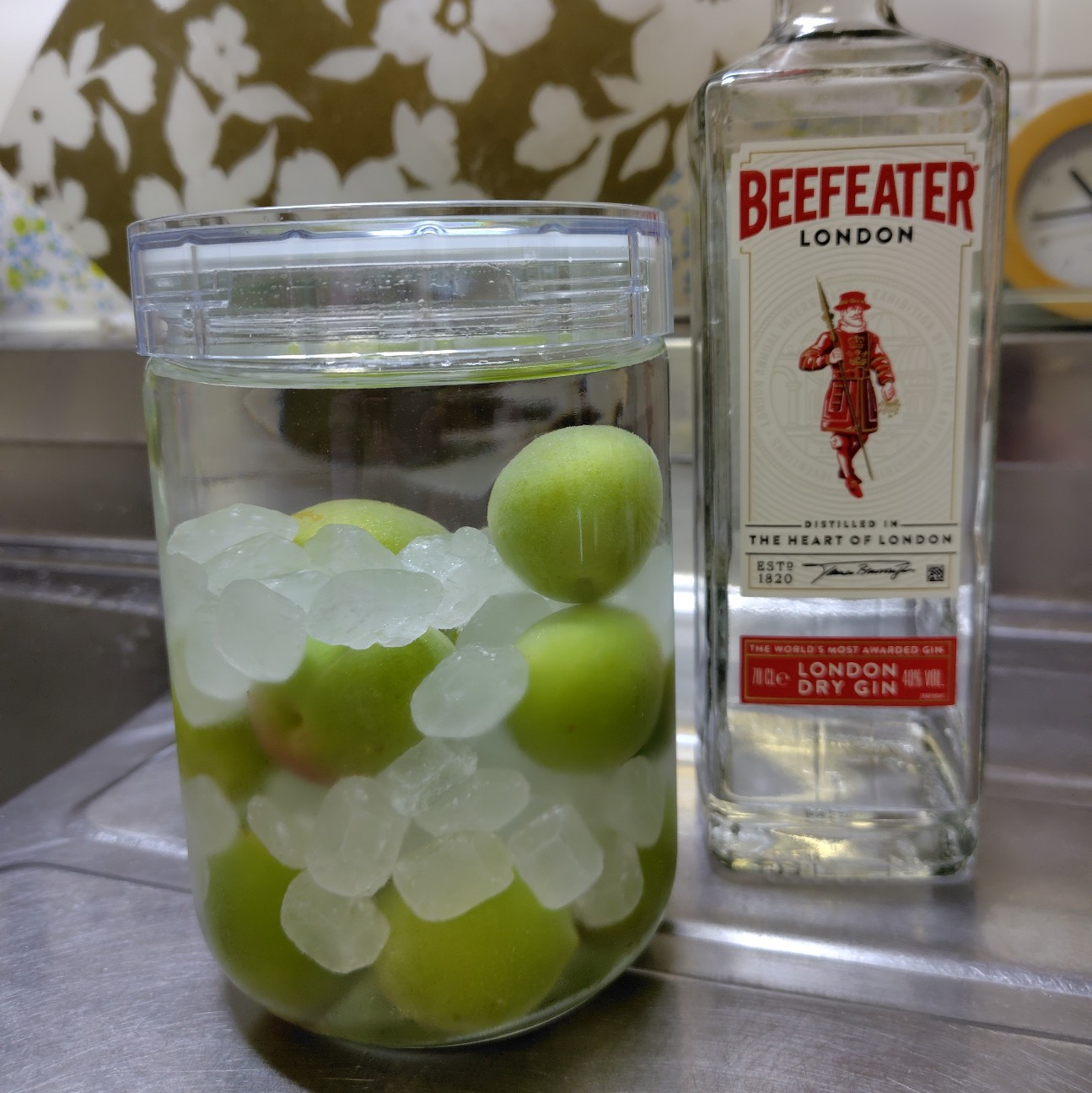 f:id:aiuroco:20251130224646j:image f:id:aiuroco:20251130224646j:image