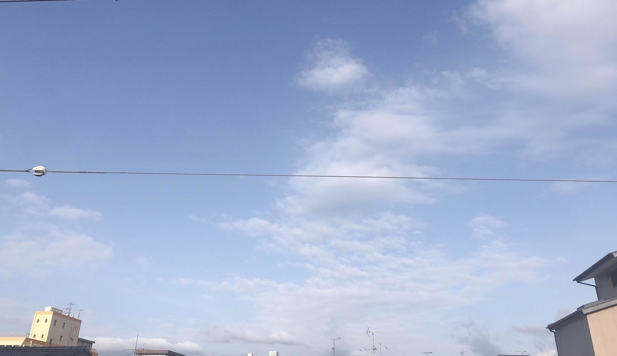 f:id:aiwatanabe:20200505100045j:plain f:id:aiwatanabe:20200505100045j:plain