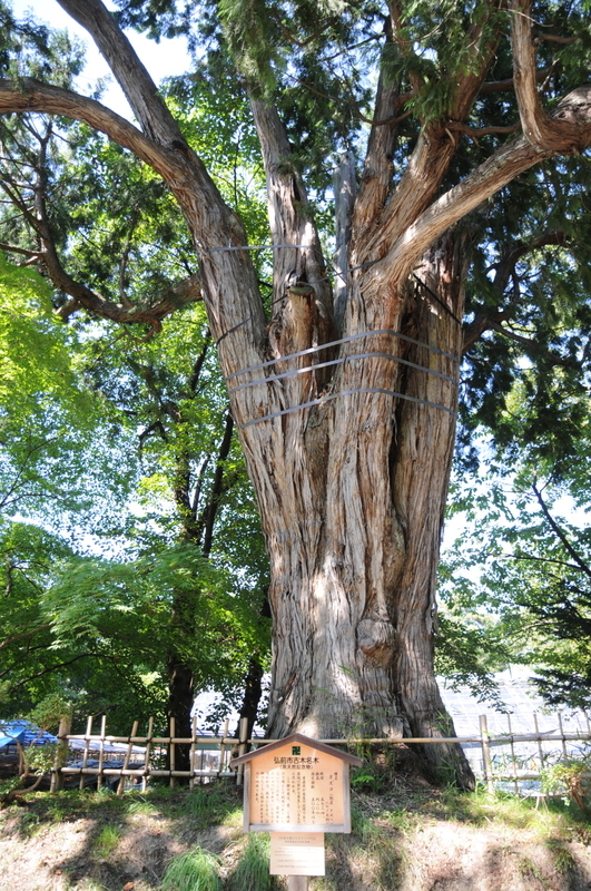 f:id:aiwendil:20210807141233j:plain