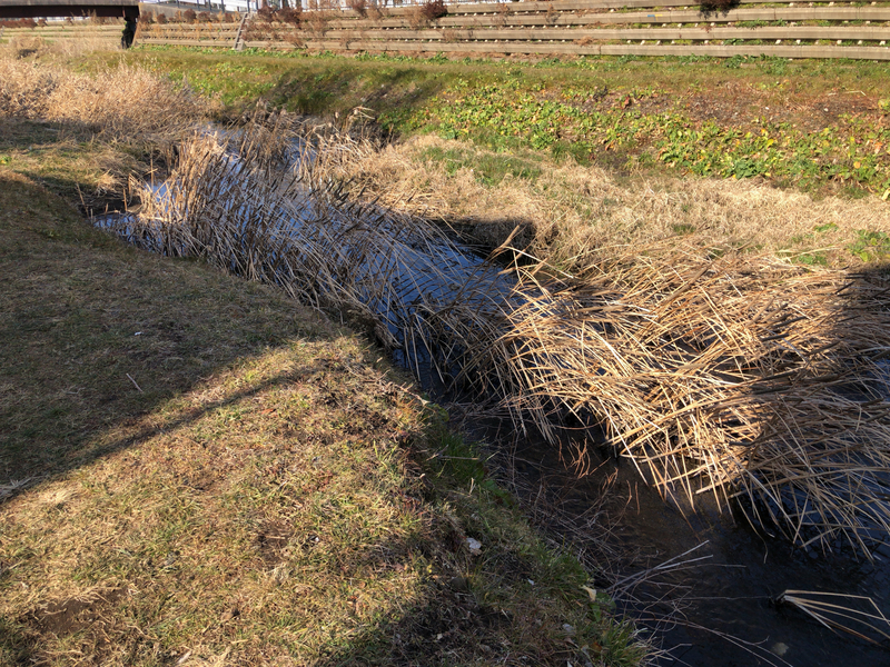 f:id:aiwendil:20220211142536j:plain