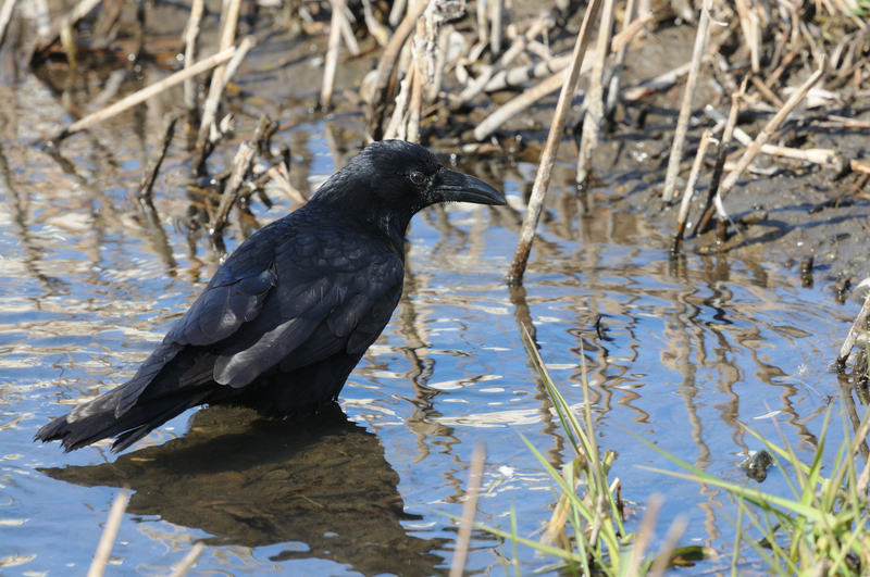 f:id:aiwendil:20220211143330j:plain