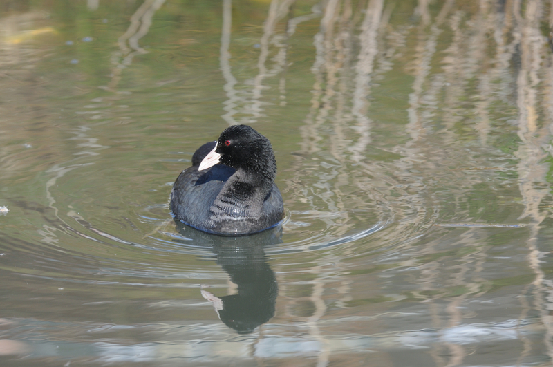 f:id:aiwendil:20220211143552j:plain