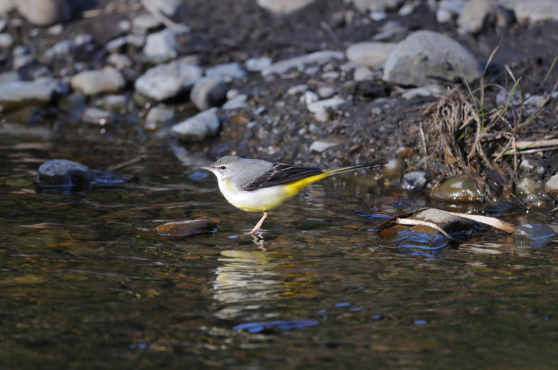 f:id:aiwendil:20220211150638j:plain