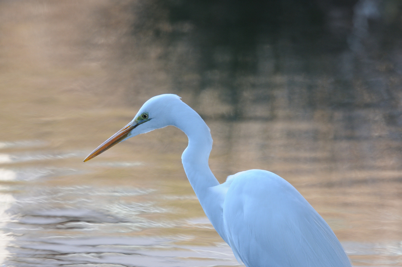 f:id:aiwendil:20220211160500j:plain