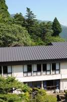 樅ノ木は残った