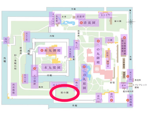 京都の桜 女一人旅 1日目 二条城編 まったり旅日記