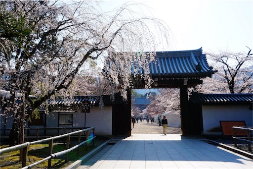 f:id:aizo_k:20190425200938j:image f:id:aizo_k:20190425200938j:image