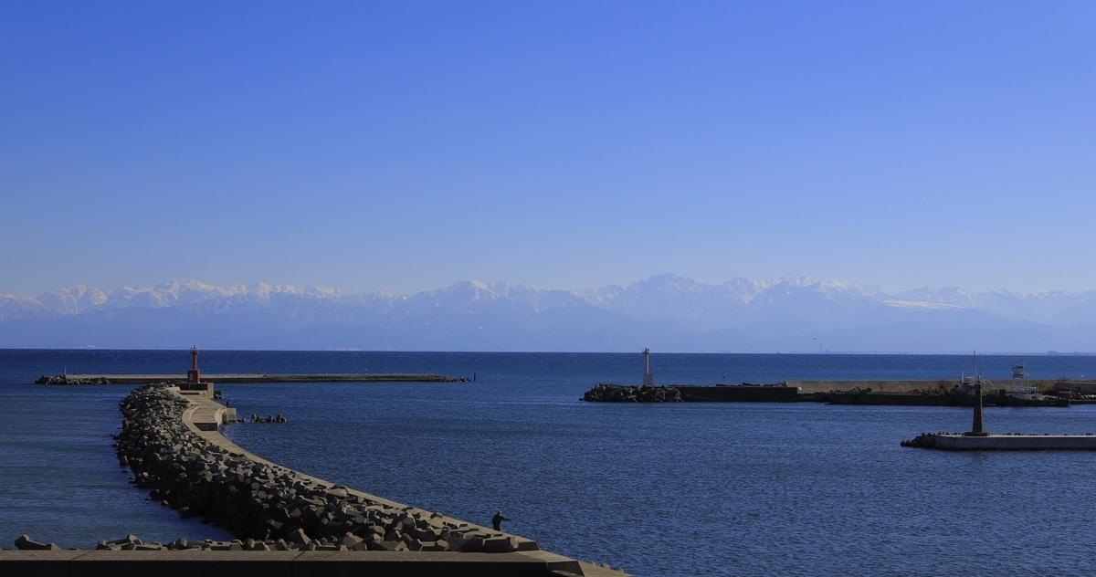 f:id:ajaidesu:20211224233031j:plain