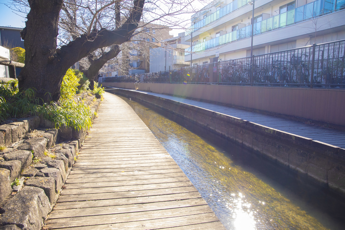 f:id:ajaidesu:20220123234723j:plain
