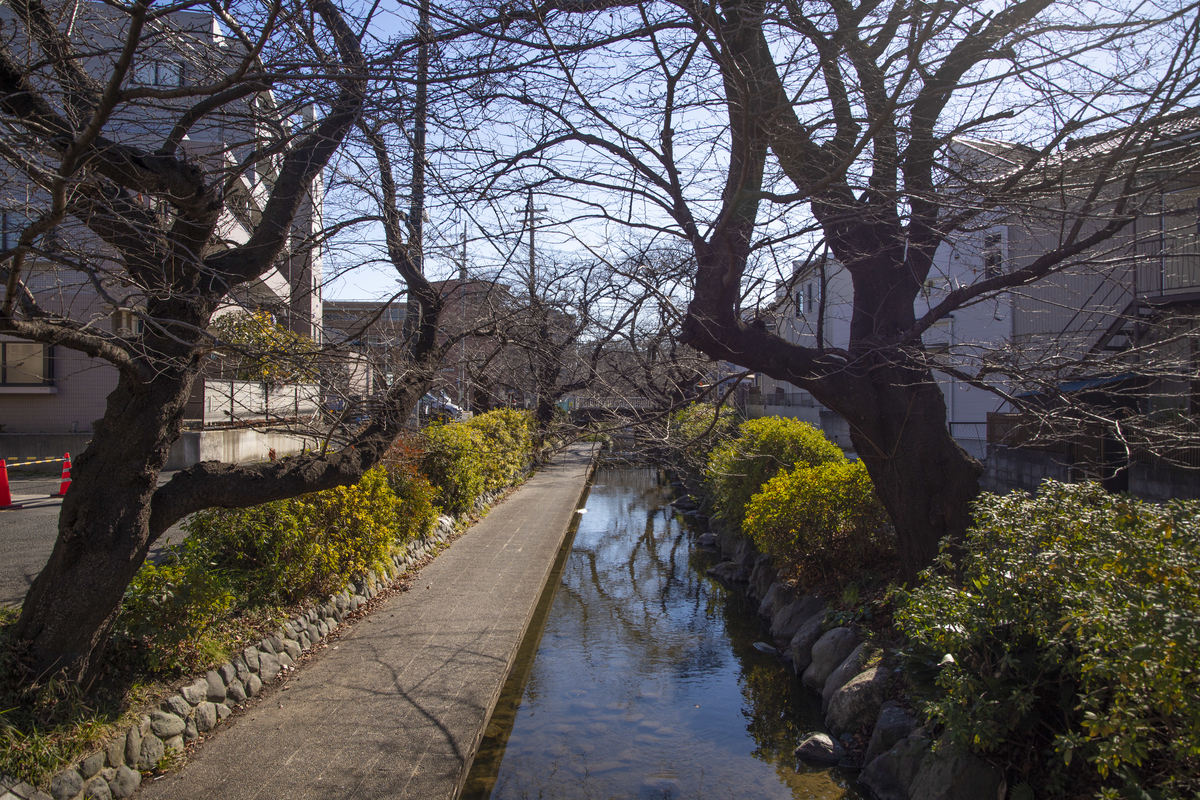 f:id:ajaidesu:20220124001323j:plain