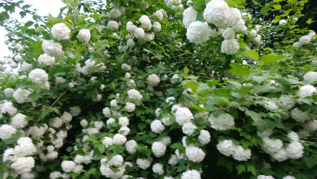 f:id:ajaka25:20190127082910j:plain f:id:ajaka25:20190127082910j:plain