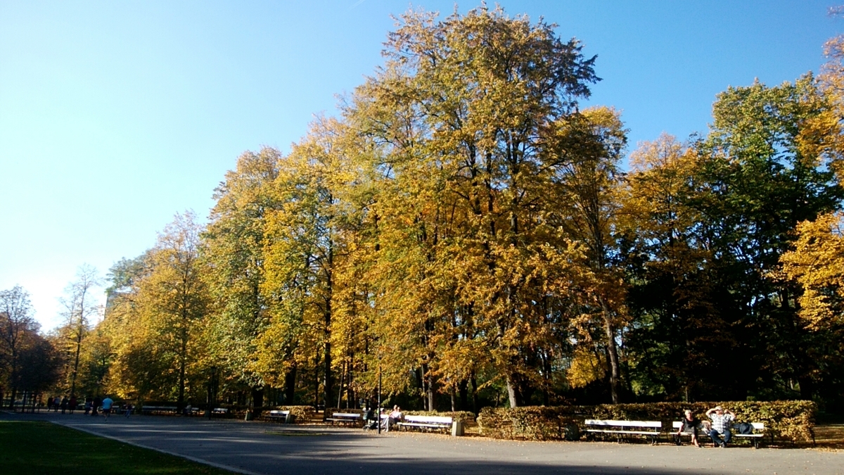f:id:ajaka25:20190409201728j:plain f:id:ajaka25:20190409201728j:plain