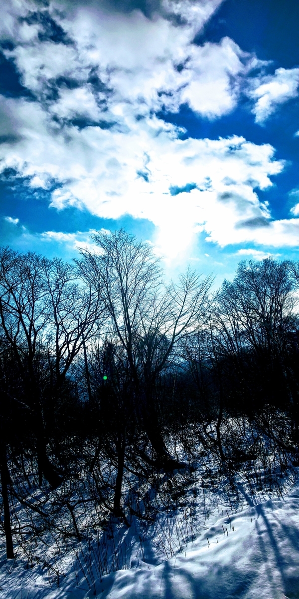 f:id:ajanta_miwa:20200904005136j:plain