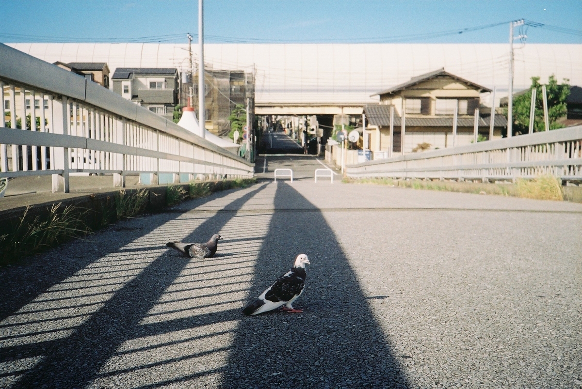 f:id:aji-no-osushi:20210907230651j:plain