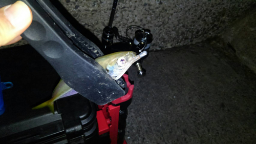 f:id:aji1:20171026151724j:plain f:id:aji1:20171026151724j:plain