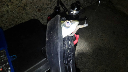 f:id:aji1:20171026151842j:plain f:id:aji1:20171026151842j:plain