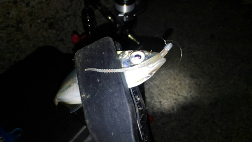 f:id:aji1:20171026151956j:plain f:id:aji1:20171026151956j:plain