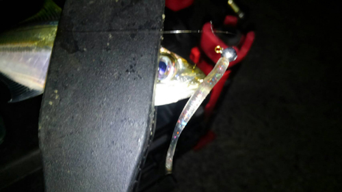 f:id:aji1:20171026154210j:plain f:id:aji1:20171026154210j:plain