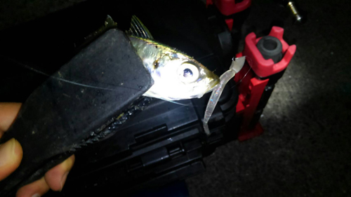 f:id:aji1:20171026154528j:plain f:id:aji1:20171026154528j:plain