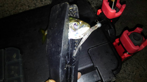 f:id:aji1:20171026154856j:plain f:id:aji1:20171026154856j:plain