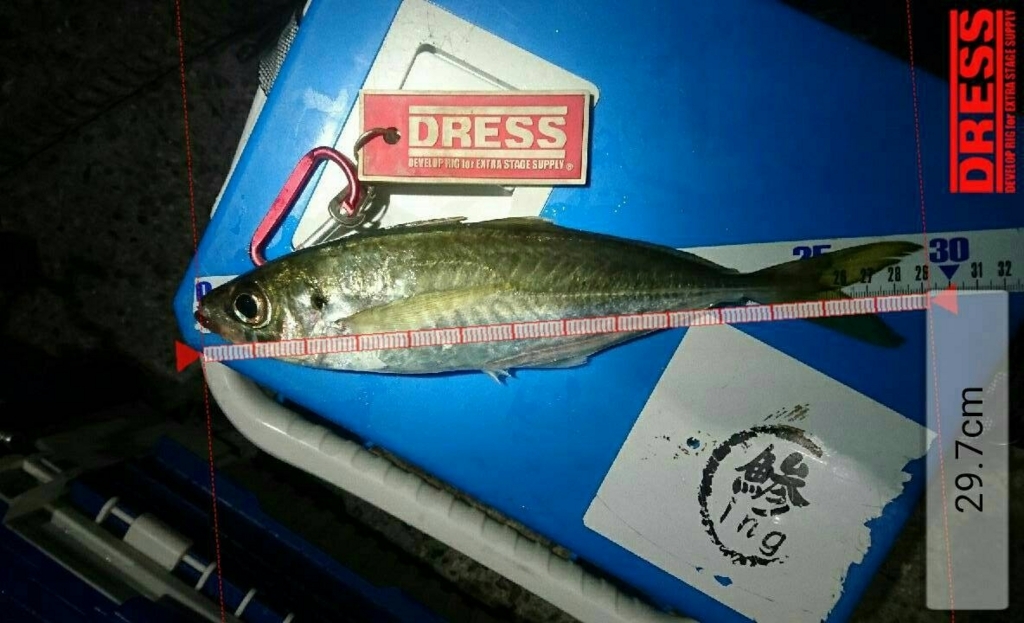 テンプルブロック OM PERCUSSION TEM-5 中古 美品 MEINL Symthetic Temple Block 5-Piece Set ブロックセット