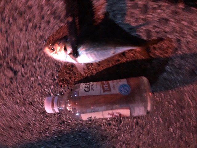f:id:aji1:20201119111954j:plain