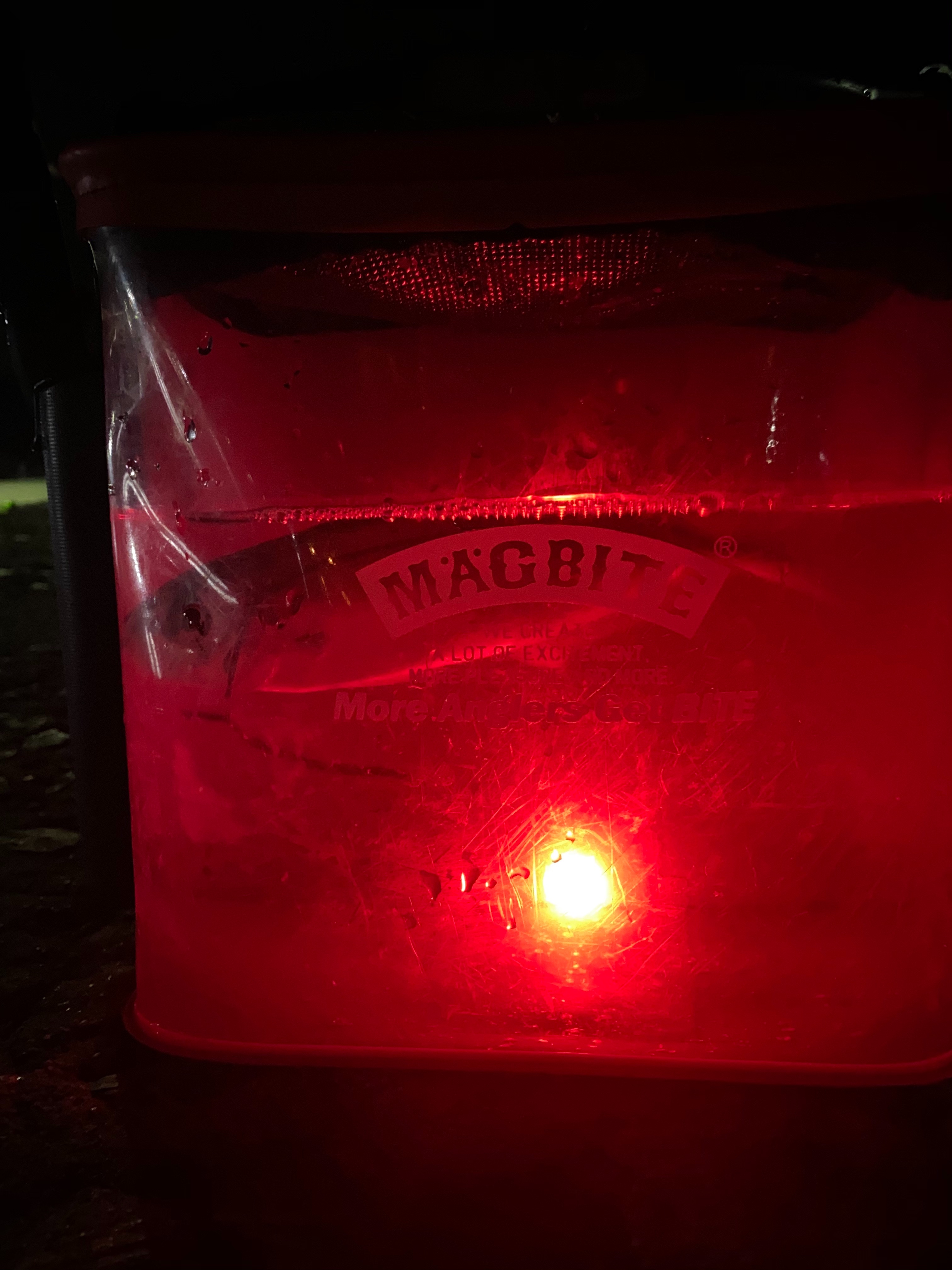 f:id:aji_923:20200221193140j:image