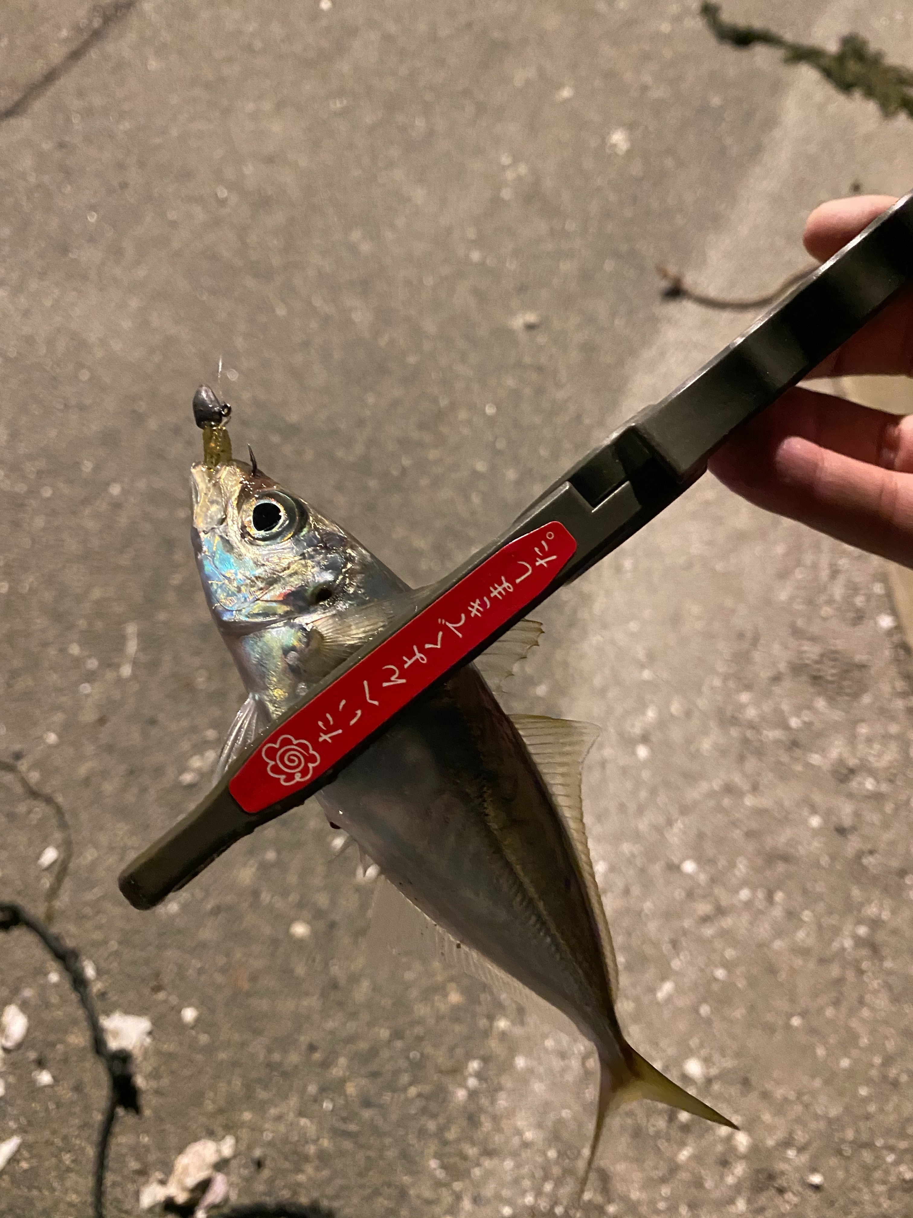 f:id:aji_923:20200313163311j:image