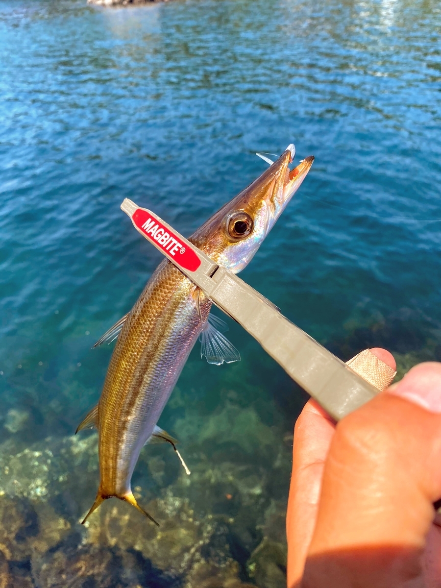 f:id:aji_923:20200627113849j:plain