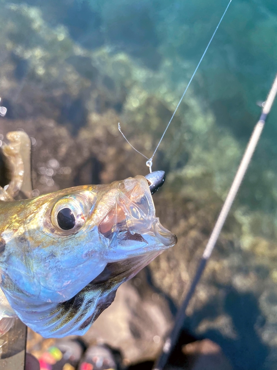 f:id:aji_923:20200627113852j:plain