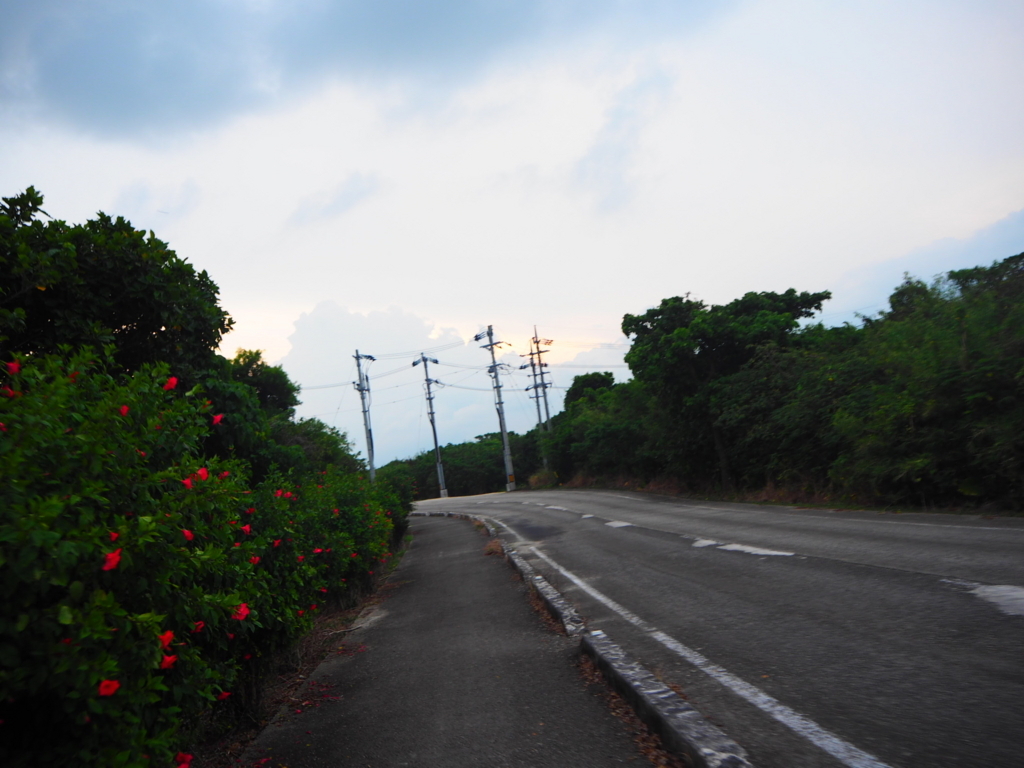f:id:ajinashiko:20170902175214j:plain f:id:ajinashiko:20170902175214j:plain