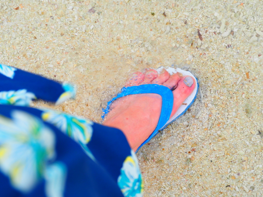 f:id:ajinashiko:20170902182332j:plain f:id:ajinashiko:20170902182332j:plain
