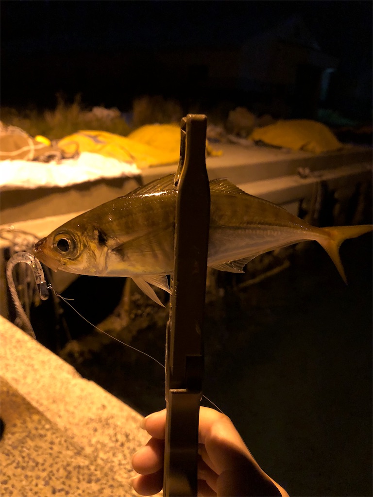 f:id:ajing55:20180503002620j:image